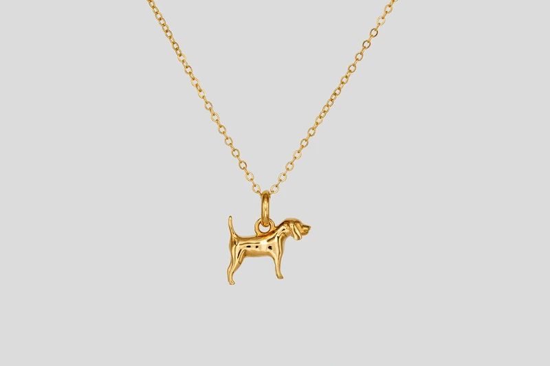 Beagle Collar