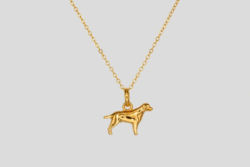 Labrador Collar