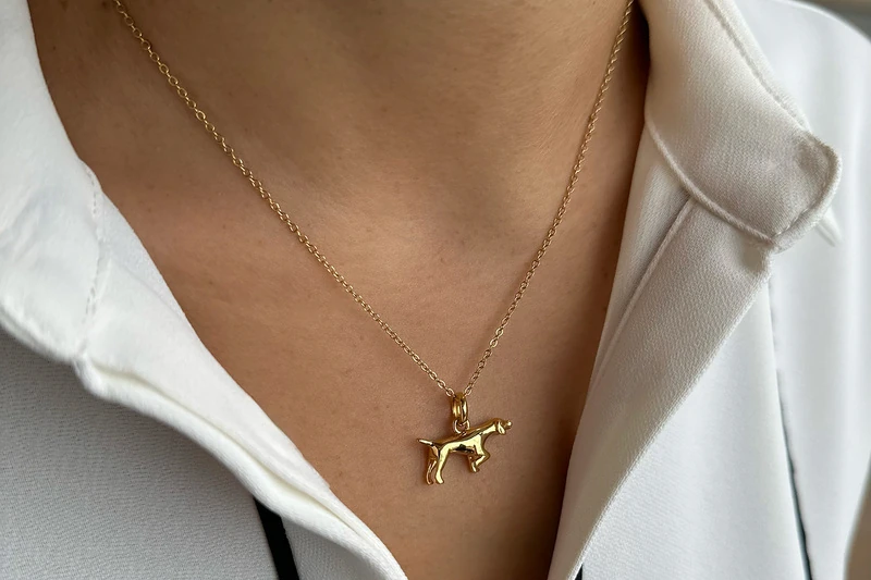 Pointer Collar